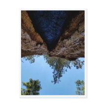 Parque nacional Sequoia: Días de perros