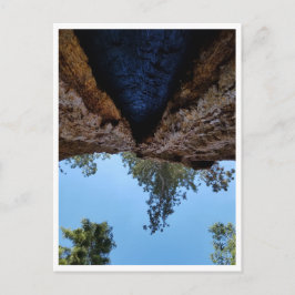 Postal Parque nacional Sequoia: Días de perros