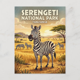 Postal Parque Nacional Serengeti Cebra Tanzania