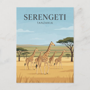 Postal Parque Nacional Serengeti Jirafas Tanzania