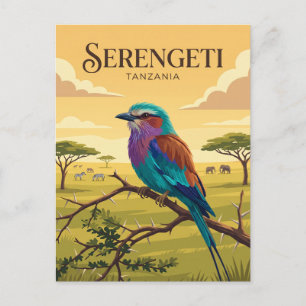 Postal Parque Nacional Serengeti Tanzania