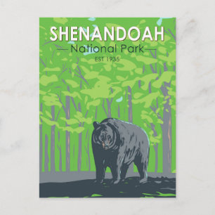 Postal Parque nacional Shenandoah Black Bear Vintage