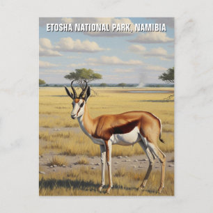 Postal Parque nacional Springbok Etosha Viajes de Namibia