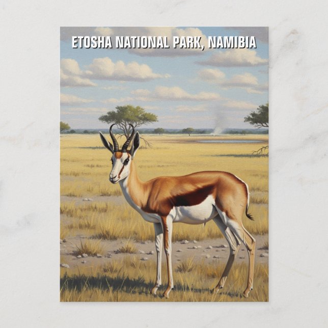 Postal Parque nacional Springbok Etosha Viajes de Namibia (Anverso)