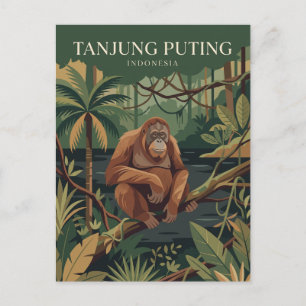 Postal Parque Nacional Tanjung Puting Indonesia