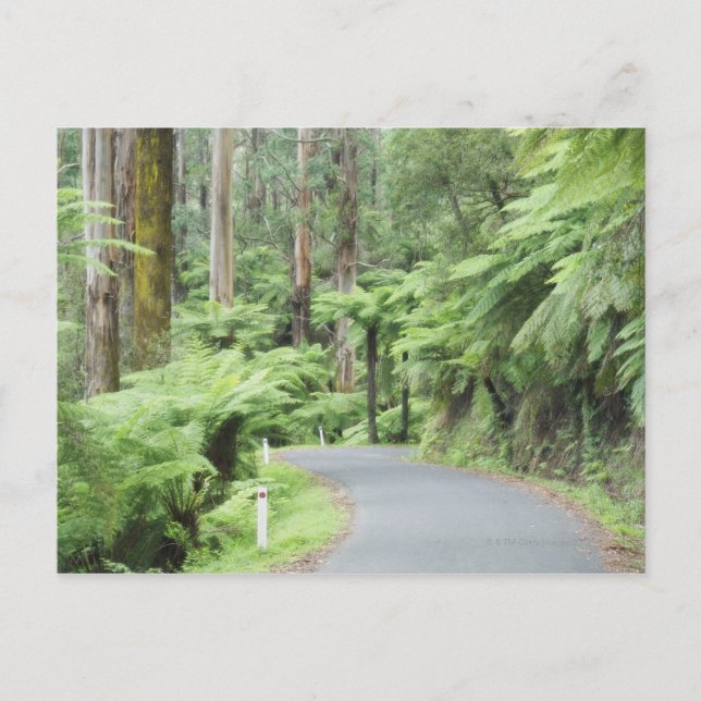 Postal Parque nacional Tarra Bulga, Ranges Strzelecki (Anverso)