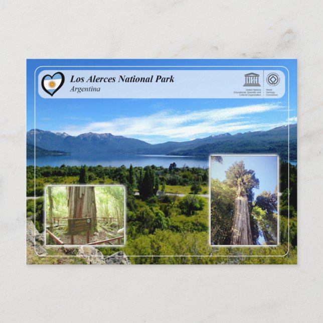 Postal Parque nacional UNESCO - Los Alerces (Anverso)