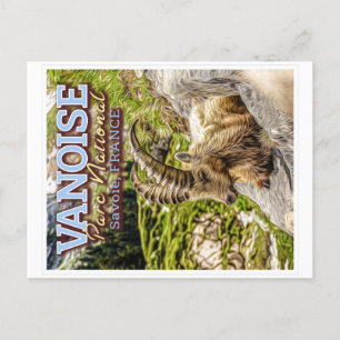 POSTAL PARQUE NACIONAL VANOISE - SAVOIE FRANCE - IBEX 