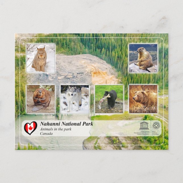 Postal Parque nacional WHS de la UNESCO - Nahanni (Anverso)