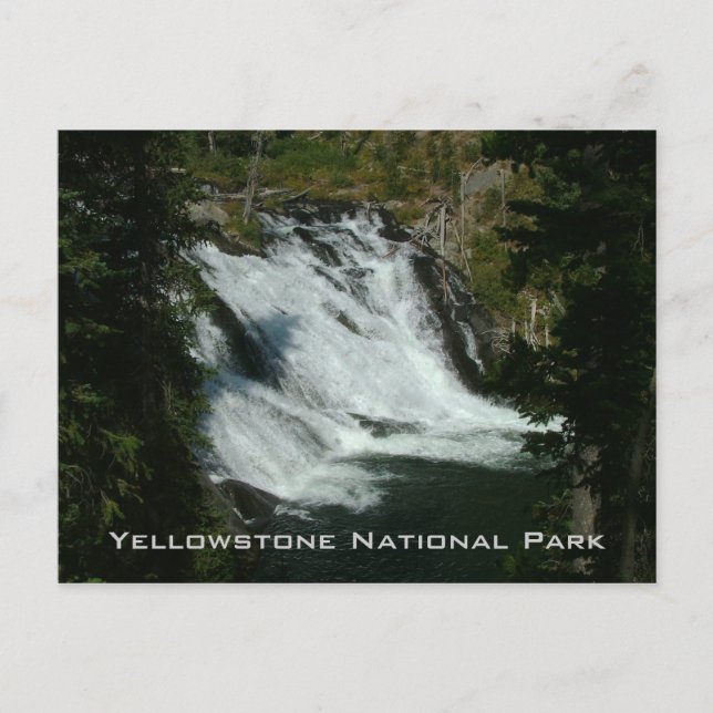 Postal Parque nacional Yellowstone (Anverso)