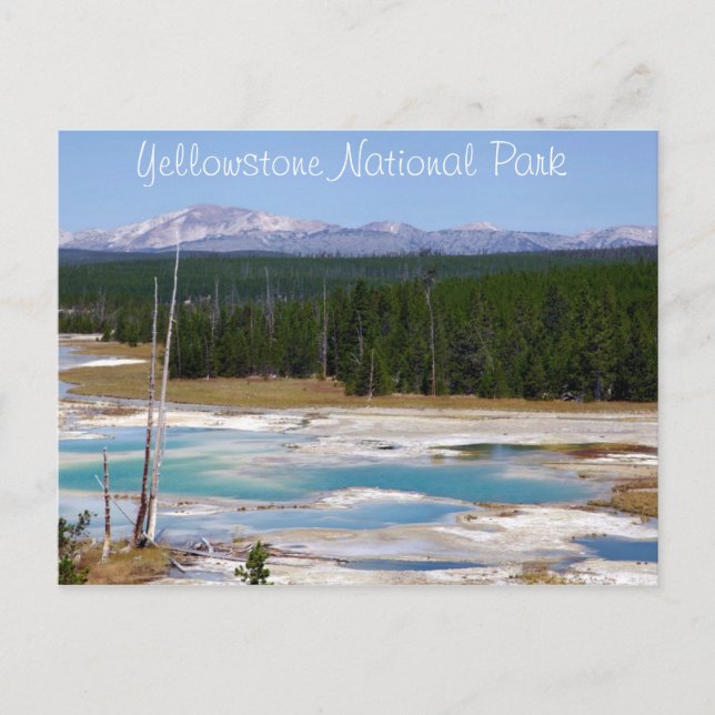 Postal Parque nacional Yellowstone (Anverso)