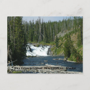 Postal Parque nacional Yellowstone