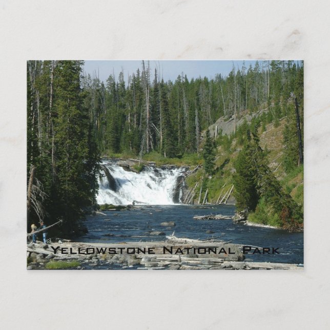 Postal Parque nacional Yellowstone (Anverso)