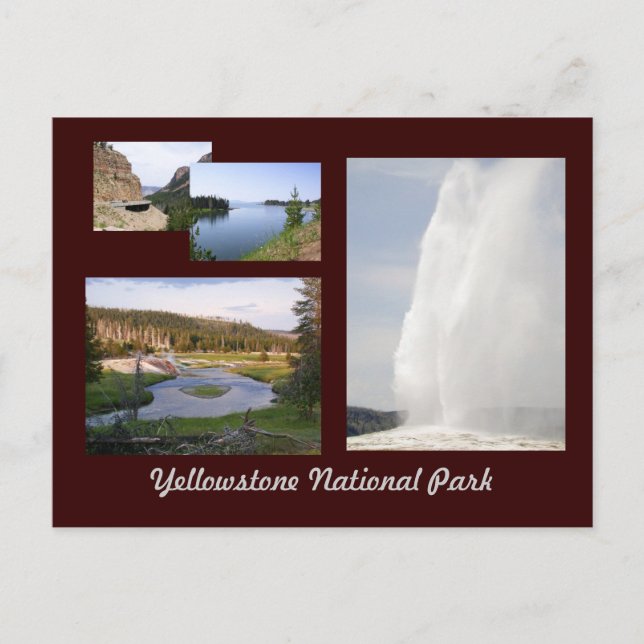 Postal Parque nacional Yellowstone (Anverso)