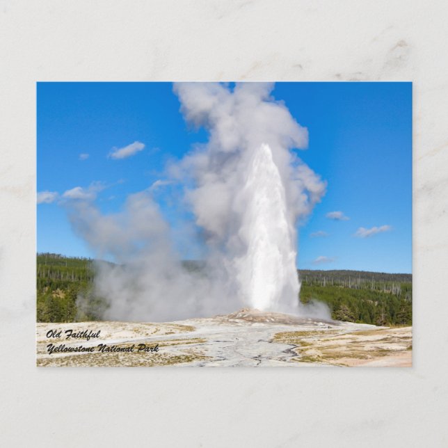 Postal Parque nacional Yellowstone (Anverso)