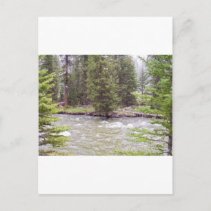 Postal Parque nacional Yellowstone