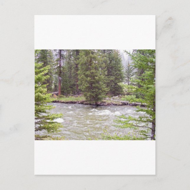 Postal Parque nacional Yellowstone (Anverso)