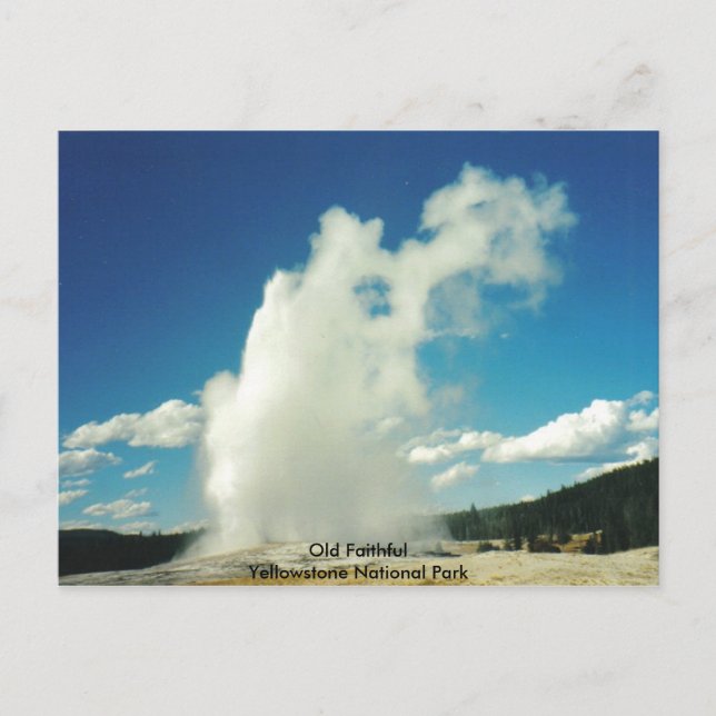 Postal Parque nacional Yellowstone (Anverso)