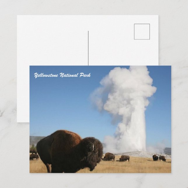 Postal Parque nacional Yellowstone (Anverso / Reverso)