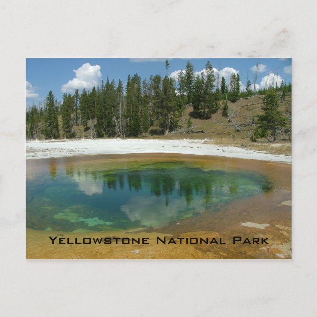 Postal Parque nacional Yellowstone (Anverso)
