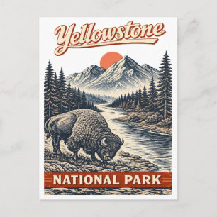 Postal Parque Nacional Yellowstone - Bisonte