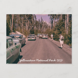 Postal Parque nacional Yellowstone Cars de mediados del s
