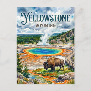 Postal Parque Nacional Yellowstone EE. UU.