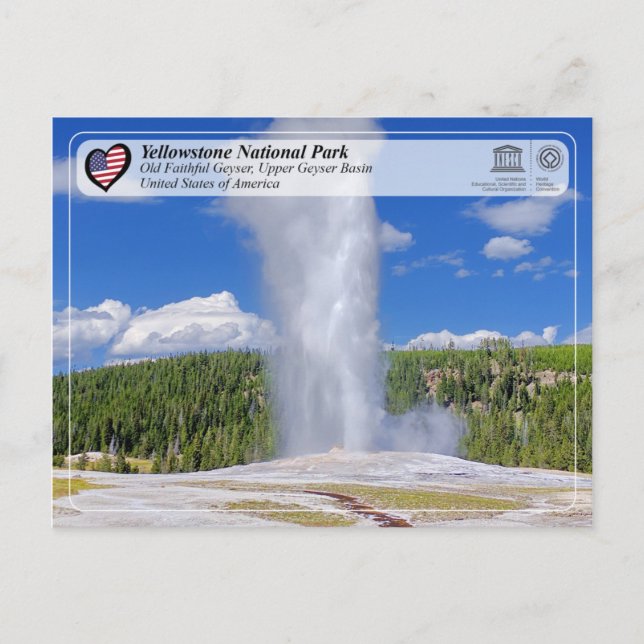 Postal Parque nacional Yellowstone - Géiser de la vieja f (Anverso)
