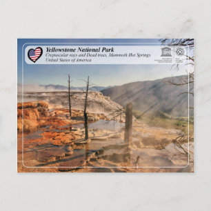 Postal Parque nacional Yellowstone - Mammoth Hot Springs