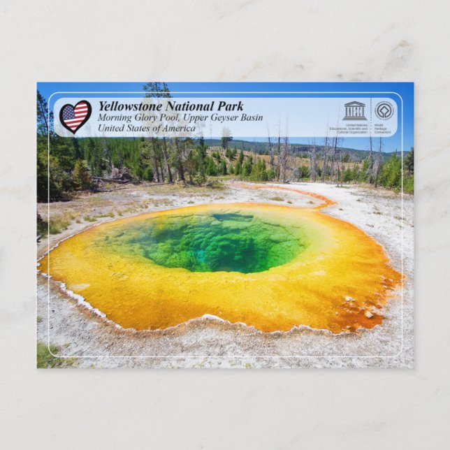 Postal Parque Nacional Yellowstone - Morning Glory Pool (Anverso)