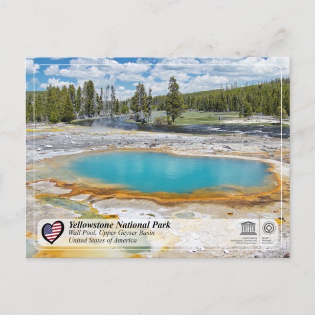 Postal Parque nacional Yellowstone - Piscina de pared (Anverso)
