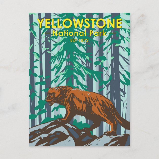 Postal Parque Nacional Yellowstone Wolverine Vintage (Anverso)