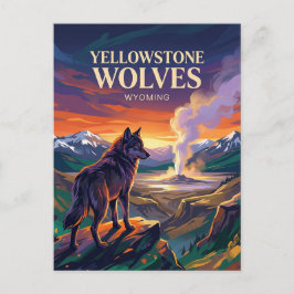Postal Parque Nacional Yellowstone Wyoming
