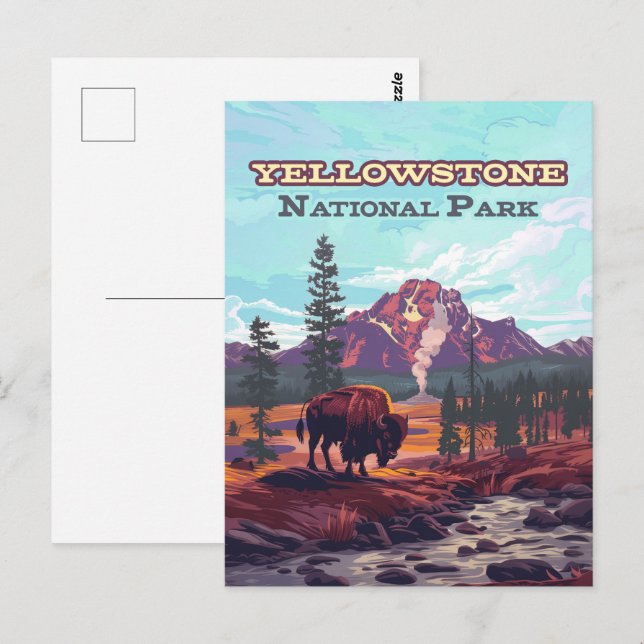 Postal Parque nacional Yellowstone Wyoming Bison Geyser (Anverso / Reverso)