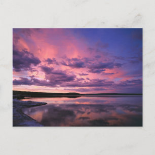 Postal Parque nacional Yellowstone, Wyoming. EE.UU.