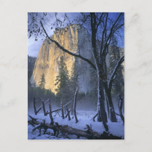 Postal PARQUE NACIONAL YOSEMITA, CALIFORNIA. EE.UU. Claro