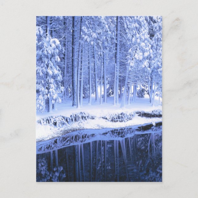 Postal PARQUE NACIONAL YOSEMITA, CALIFORNIA. EE.UU. Fresc (Anverso)