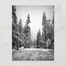 Parque Nacional Yosemite, California