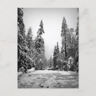 Postal Parque Nacional Yosemite, California