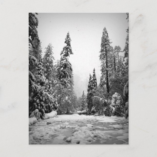 Postal Parque Nacional Yosemite, California (Anverso)