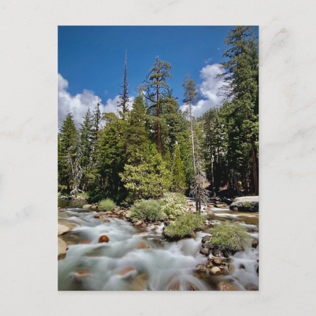 Postal Parque Nacional Yosemite, California (Anverso)