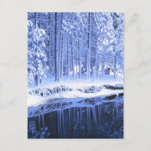 Postal PARQUE NACIONAL YOSEMITE, CALIFORNIA. EE. UU. Fres