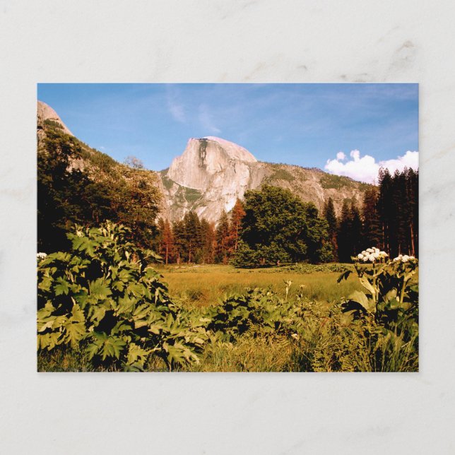 Postal Parque nacional Yosemite, California Postcard (Anverso)