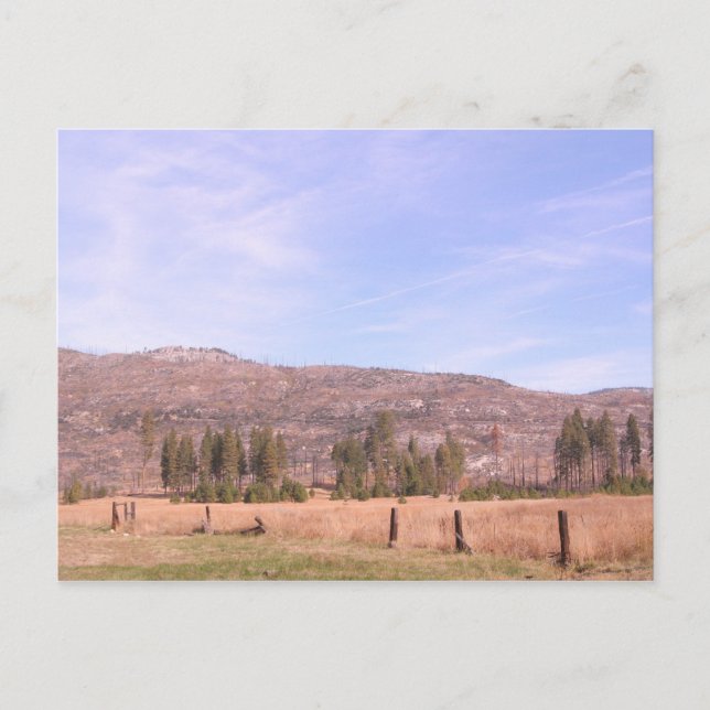 Postal Parque nacional Yosemite en California PostCard (Anverso)