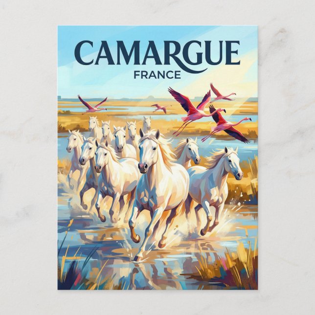 Postal Parque Natural Regional de Camargue Francia (Anverso)