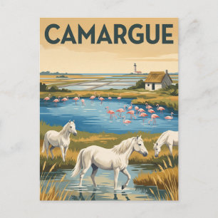 Postal Parque natural regional de Camargue Francia