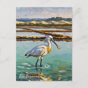 Postal Parque natural Ria Formosa Portugal Viajes