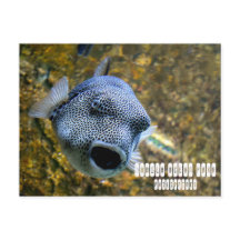 Parque oceánico Manila en Filipinas