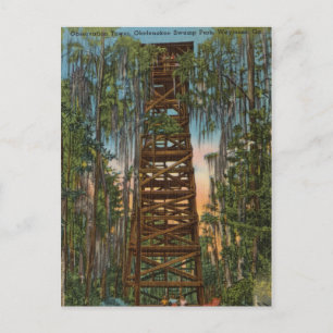 Postal Parque pantano Okelenokee, Waycross, Georgia