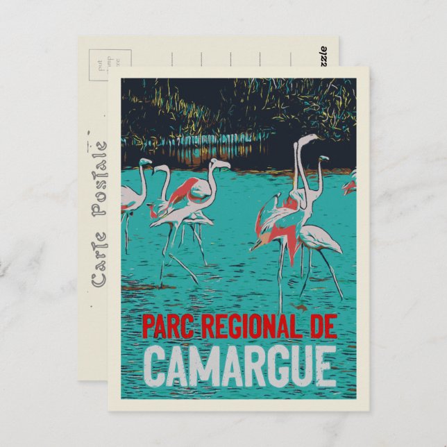 Postal Parque regional Camargue, Francia, flamencos rosas (Anverso / Reverso)